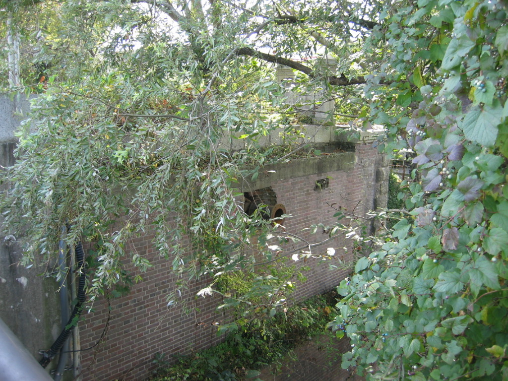 IMG_4448.JPG
