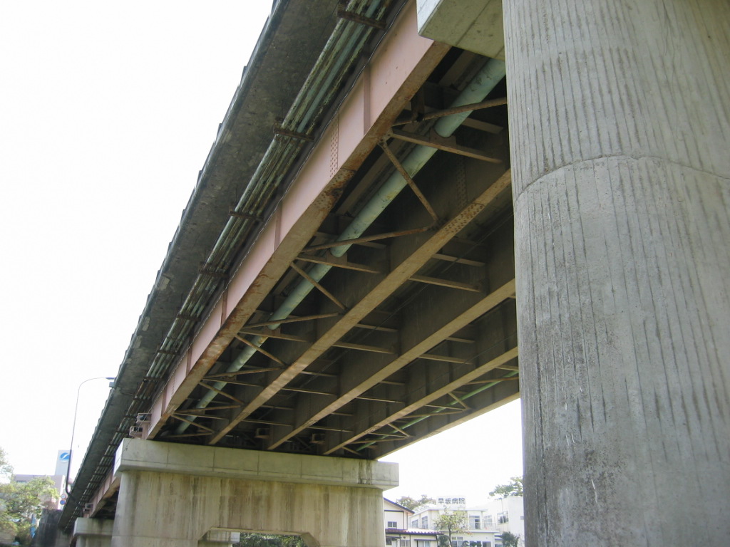 IMG_4459.JPG